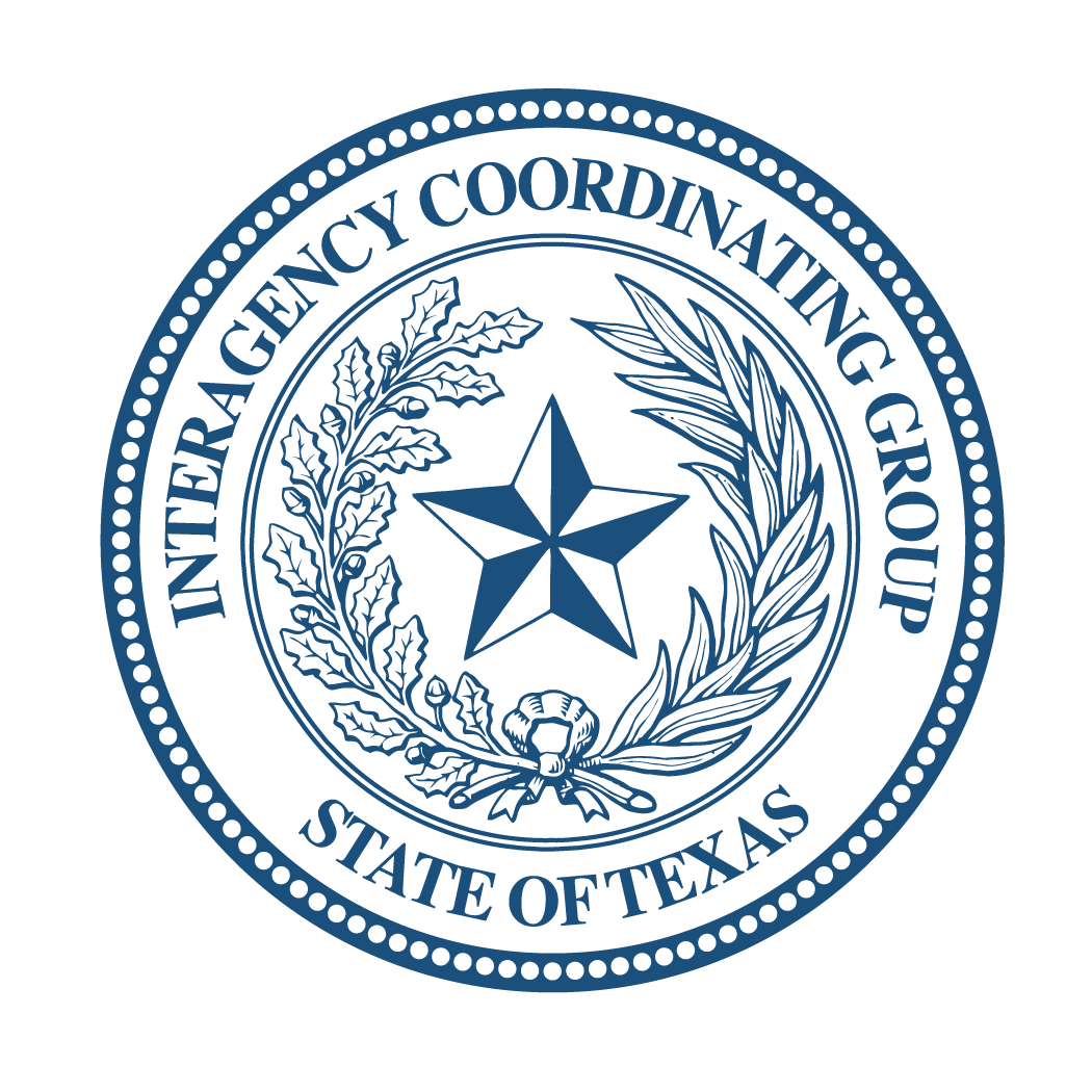 Texas Interagency Coordinating Group | OneStar Foundation